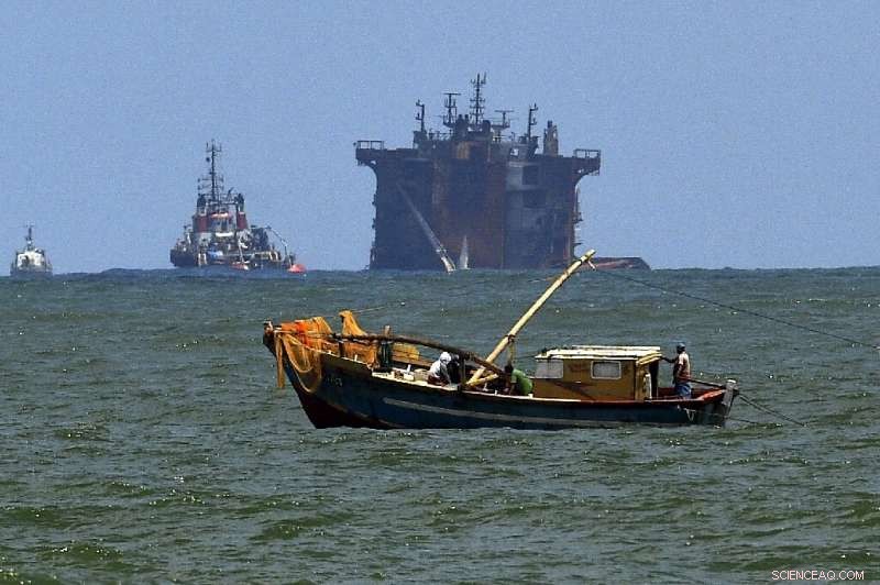 Increasing Wildlife Losses Linked to MV X-Press Pearl Ship Disaster in Sri Lanka