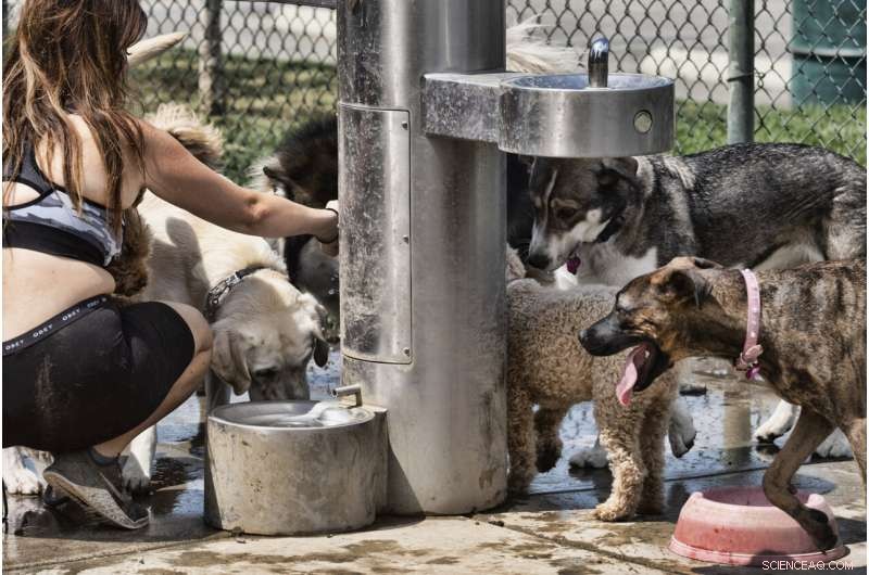 Western Heat Wave Threatens Public Health of Vulnerable Communities