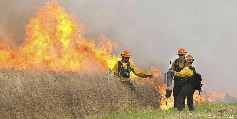 Rising Demand for Prescribed Burns Faces Regulatory Hurdles