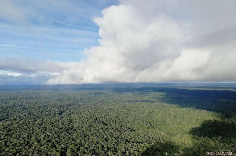 Unchecked Climate Change Could Trigger Catastrophic Drought in the Amazon Rainforest