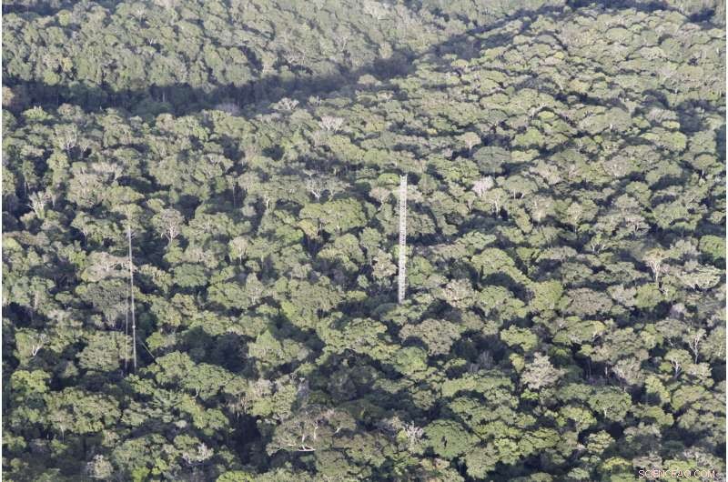 Unchecked Climate Change Could Trigger Catastrophic Drought in the Amazon Rainforest