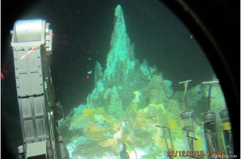 Heat-Resistant Seafloor Microbes: Their Diets Revealed