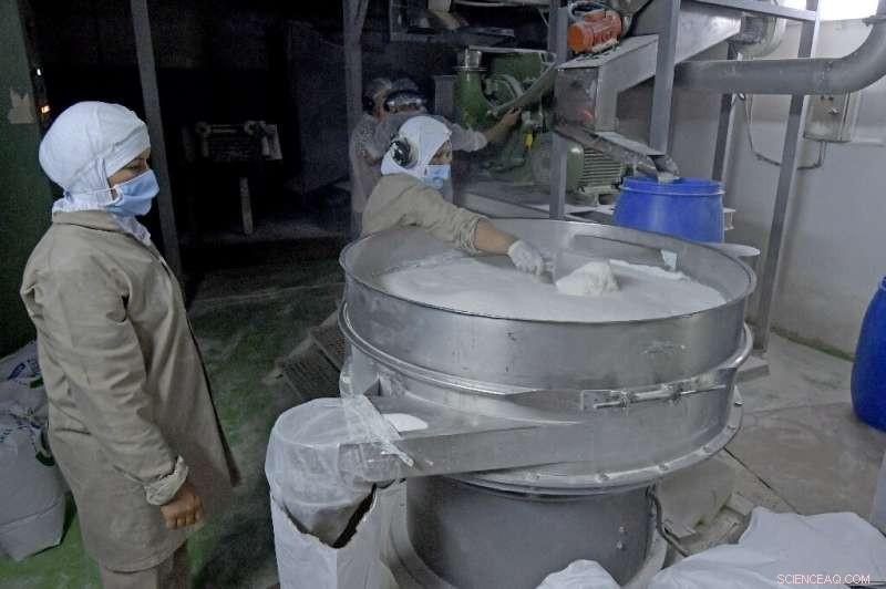 Tunisia Sets the Standard in Mediterranean Seaweed Farming