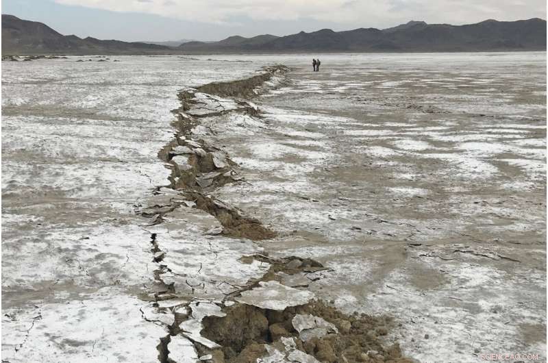 Understanding the Causes of Earthquake Foreshocks