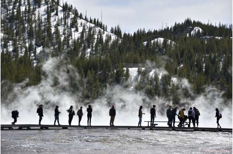 Study Reveals Climate Change Is Reducing Snow Cover in Yellowstone National Park