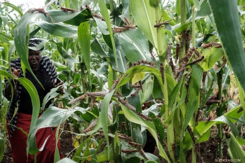 UN Climate Report Warns of Rising Hunger, Drought, and Disease Threats