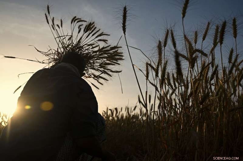 UN Climate Report Draft Reveals Human Impacts of Rising Temperatures