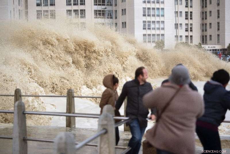 Coastal Cities on the Climate Frontline: Facing Rising Seas and Storm Threats