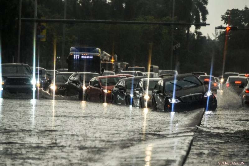 Coastal Cities on the Climate Frontline: Facing Rising Seas and Storm Threats