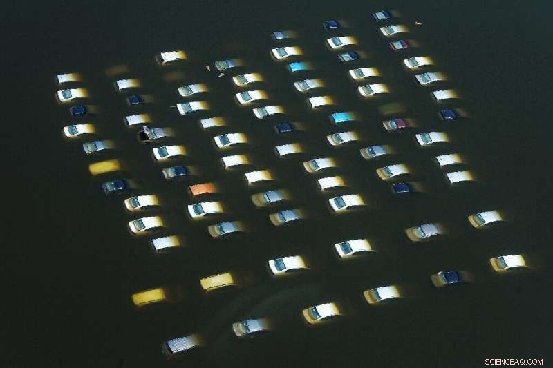 Coastal Cities on the Climate Frontline: Facing Rising Seas and Storm Threats