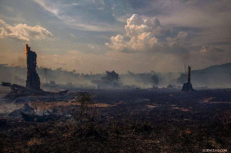 UN Draft Report Warns Climate Impacts Will Arrive Earlier Than Expected