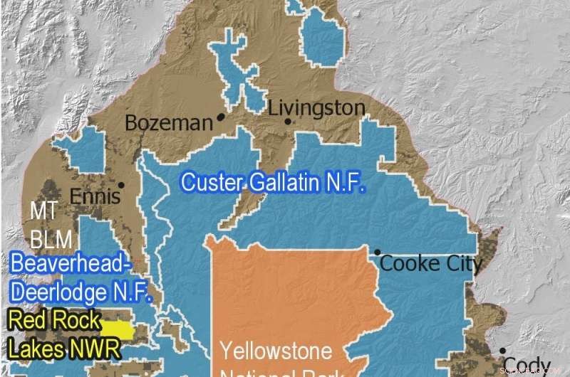 Yellowstone’s Rapid Snow Decline Signals Critical Water and Wildlife Challenges Ahead