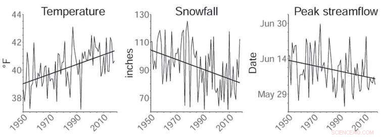 Yellowstone’s Rapid Snow Decline Signals Critical Water and Wildlife Challenges Ahead