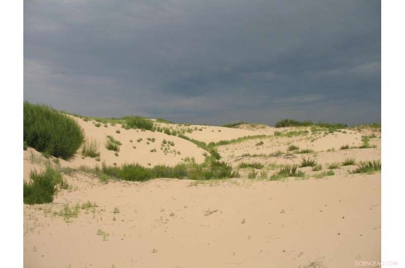 Water Stress Limits Northern Hemisphere Vegetation Growth Amid Climate Warming