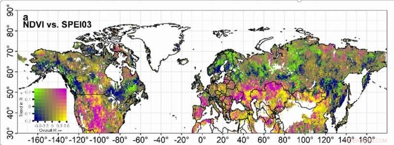 Water Stress Limits Northern Hemisphere Vegetation Growth Amid Climate Warming