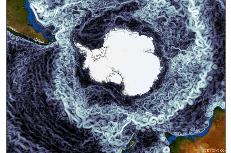 Antarctic Circumpolar Current Speeds Up in Warm Phases, Enhancing Ocean Heat and Nutrient Transport