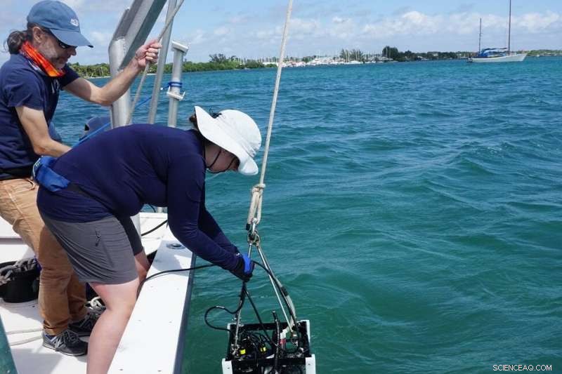 Assessing the Toxicity of the Indian River Lagoon’s Surface Waters