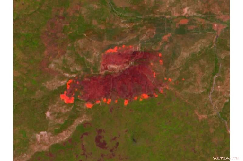 Leveraging AI for Advanced Disaster Response & Mitigation