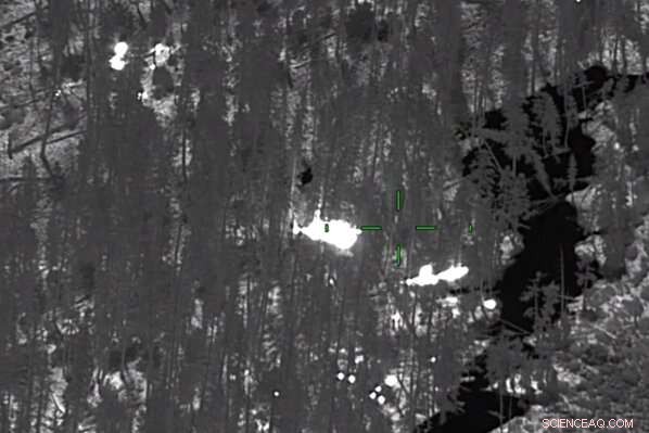 Leveraging AI for Advanced Disaster Response & Mitigation