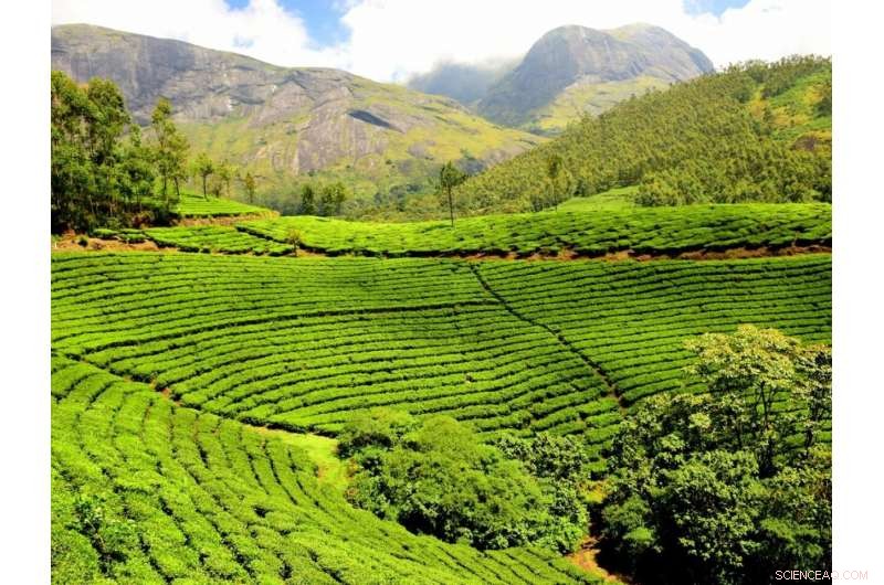 Emissions Delay Kerala Monsoon, Impacting Agriculture