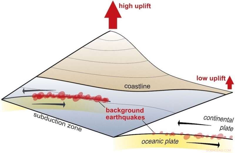 Frequent Minor Earthquakes Drive Rapid Mountain Growth