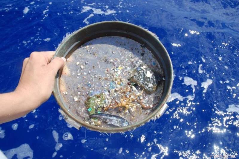 NASA Satellites Enable Scientists to Map Ocean Microplastics From Space