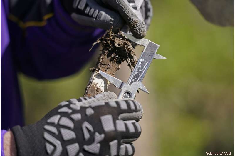 NASA Studies Louisiana Delta Systems to Enhance Global Climate Forecasts