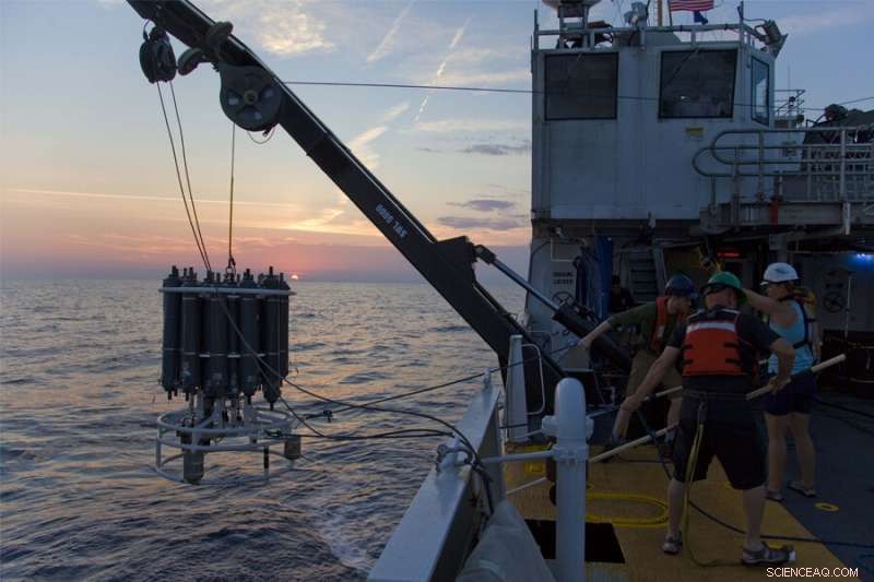 Study Reveals Coastal Waters as Primary Source of Nitrogen in Gulf of Mexico