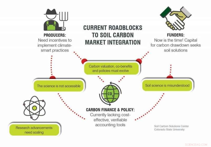 Carbon Farming: Why Clear Rules Are Essential for Climate‑Friendly Agriculture