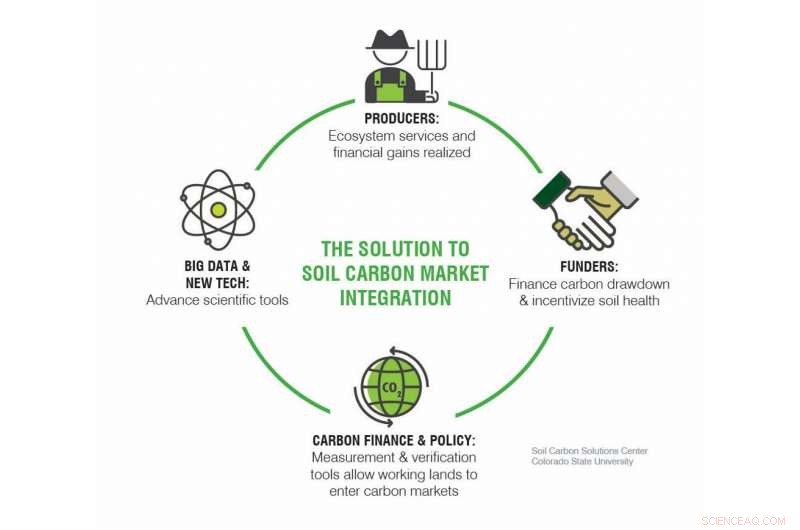 Carbon Farming: Why Clear Rules Are Essential for Climate‑Friendly Agriculture