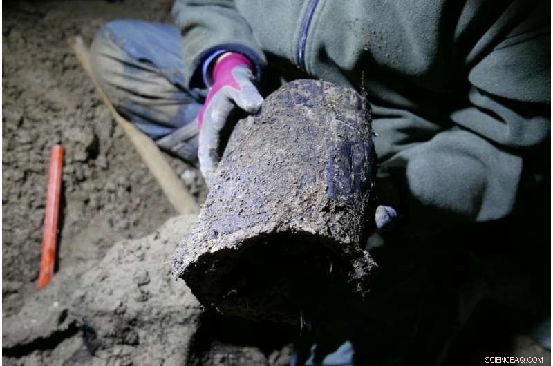 Laacher See Volcano Eruption Re-dated: Precise Age Revealed