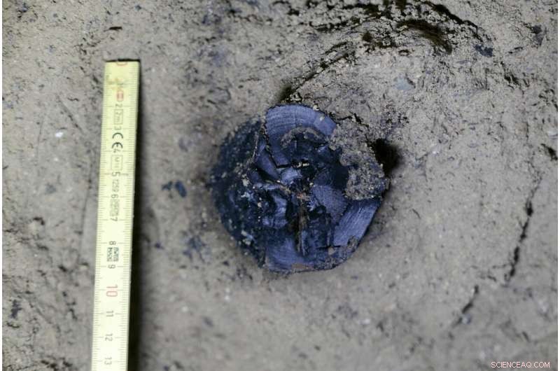 Laacher See Volcano Eruption Re-dated: Precise Age Revealed