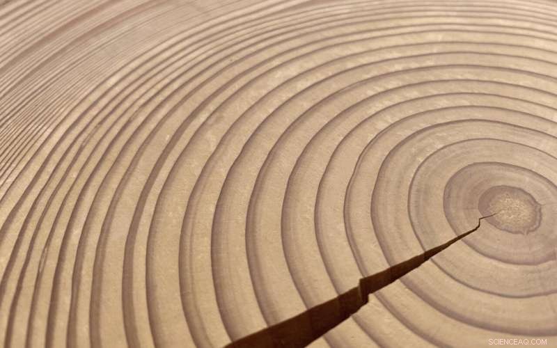 Laacher See Volcano Eruption Re-dated: Precise Age Revealed