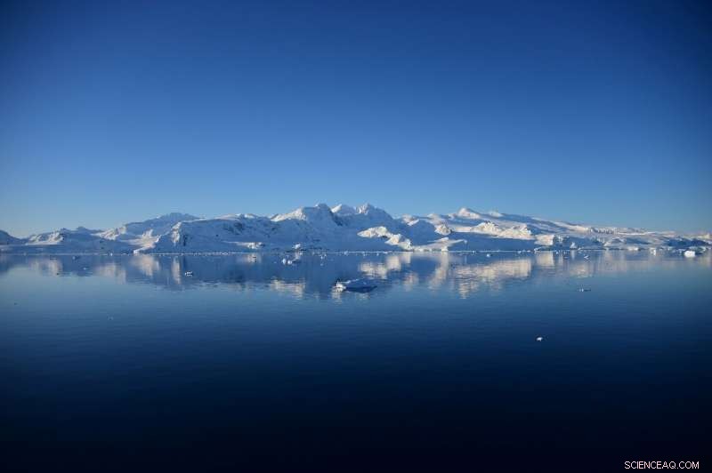 UN Confirms 18.3°C Record High Temperature in Antarctica
