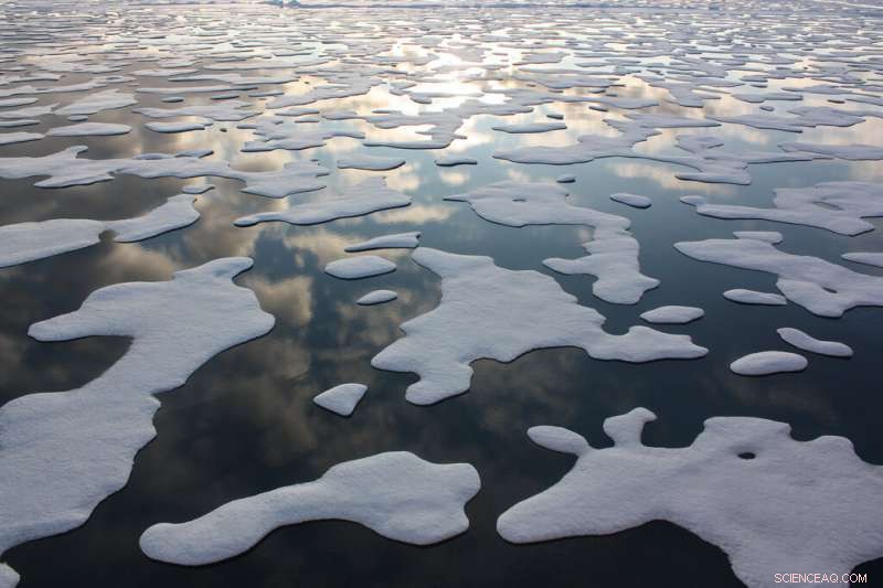 Global Cryosphere Shrinks 87,000 km² Annually, Raising Climate Concerns