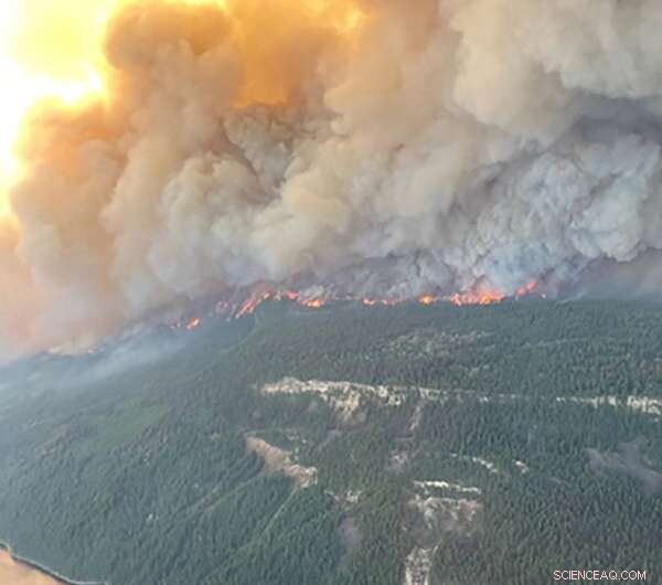 Canadian Wildfires Force Evacuation of 1,000 Residents Amid Heatwave