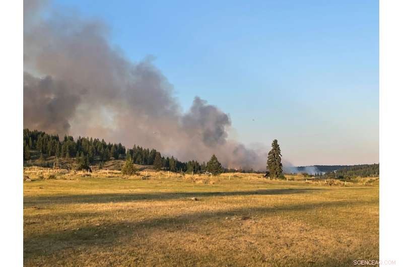 Calgary Heat Wave: Hundreds Reported Dead Despite Relief Efforts