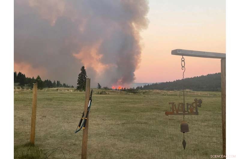 Calgary Heat Wave: Hundreds Reported Dead Despite Relief Efforts