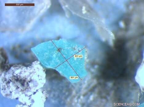 The Missing Ocean Plastic Sink: How Marine Systems Fail to Absorb Plastic Waste