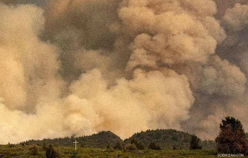 Massive Wildfires Sweep Western Canada and California Amid Heat Wave