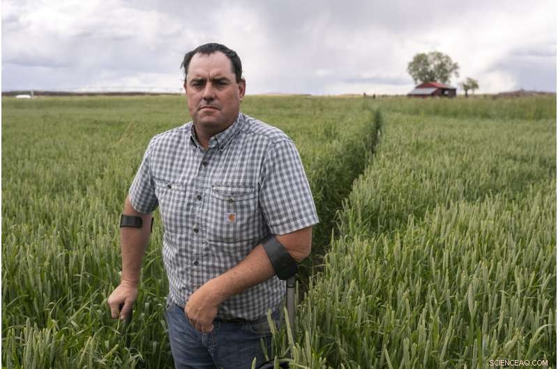 Oregon-California Water Crisis Hits Boiling Point: Drought Threatens Klamath River Ecosystem