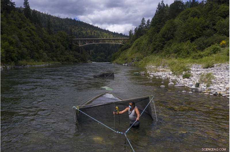 Oregon-California Water Crisis Hits Boiling Point: Drought Threatens Klamath River Ecosystem