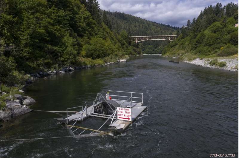 Oregon-California Water Crisis Hits Boiling Point: Drought Threatens Klamath River Ecosystem