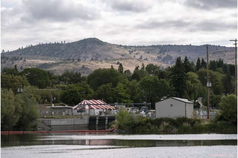 Oregon-California Water Crisis Hits Boiling Point: Drought Threatens Klamath River Ecosystem