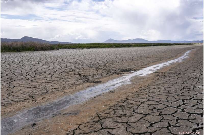 Oregon-California Water Crisis Hits Boiling Point: Drought Threatens Klamath River Ecosystem