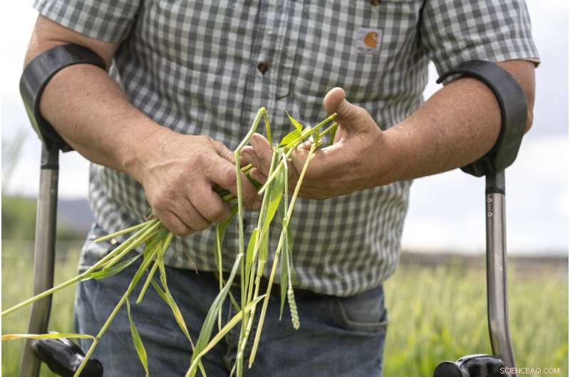 Oregon-California Water Crisis Hits Boiling Point: Drought Threatens Klamath River Ecosystem