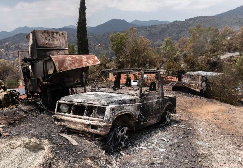 Cyprus Declares Largest Forest Fire Fully Contained