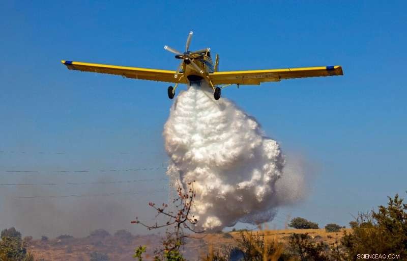 Cyprus Declares Largest Forest Fire Fully Contained