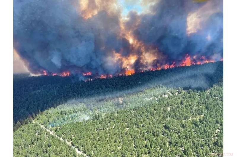 Canadian Forces Standby to Aid Evacuations Amid Wildfires