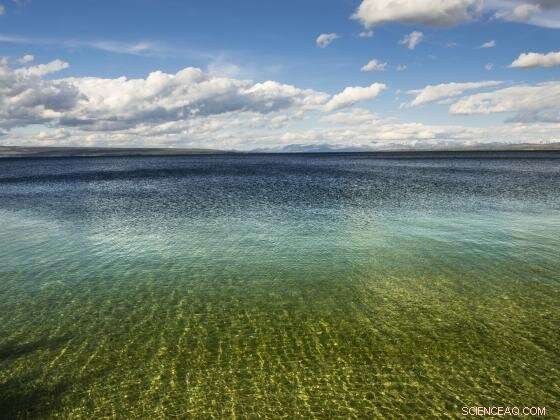 Research Team Unveils Groundbreaking Methane Synthesis Discovery